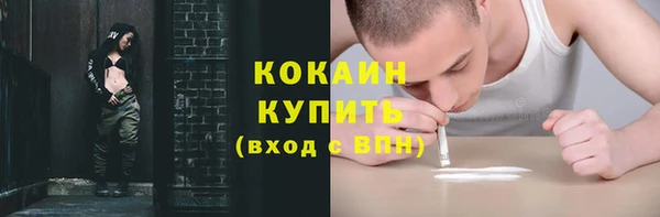 дмт Горняк