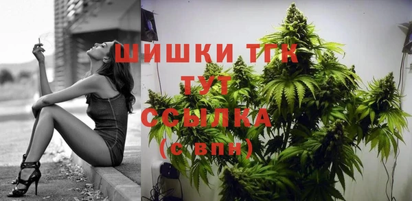 дмт Горняк