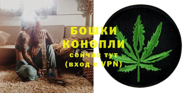 ешки Новодвинск