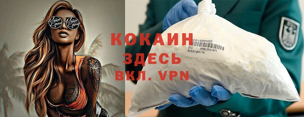 ешки Новодвинск