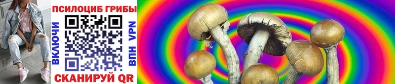 Галлюциногенные грибы GOLDEN TEACHER  omg рабочий сайт  Отрадный 