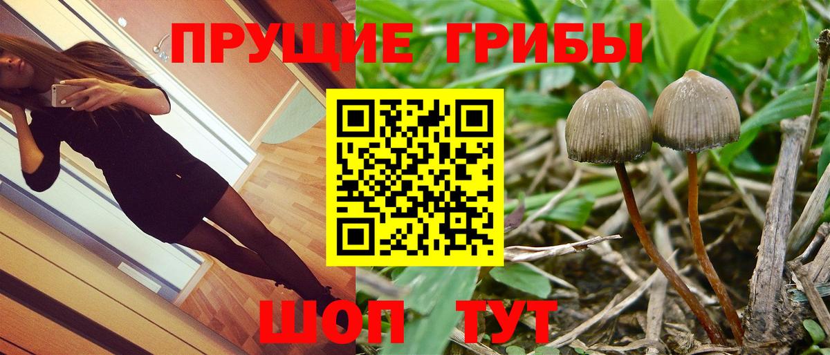 Отрадный  Галлюциногенные грибы Cubensis  Вход с VPN  Псилоцибиновые грибы MAGIC MUSHROOMS 