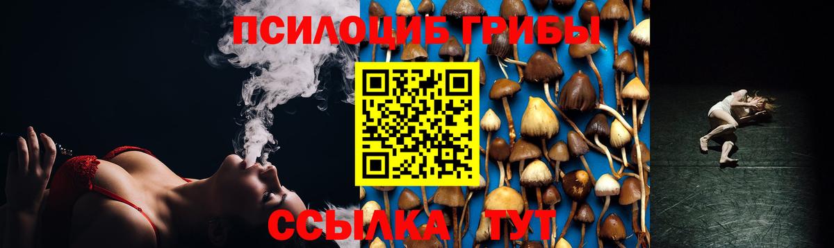 Псилоцибиновые грибы MAGIC MUSHROOMS Отрадный